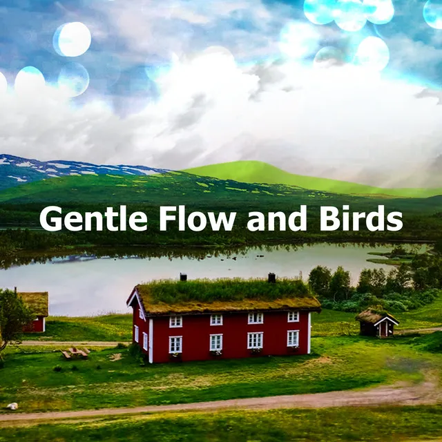 Gentle Flow and Birds