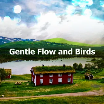 Gentle Flow and Birds by The Relaxing Sounds of Swedish Nature