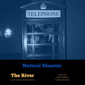 Natural Disaster by Camilla Isaksson