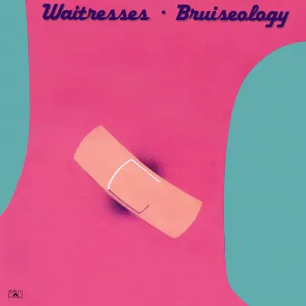 Bruiseology (Expanded Edition) by The Waitresses