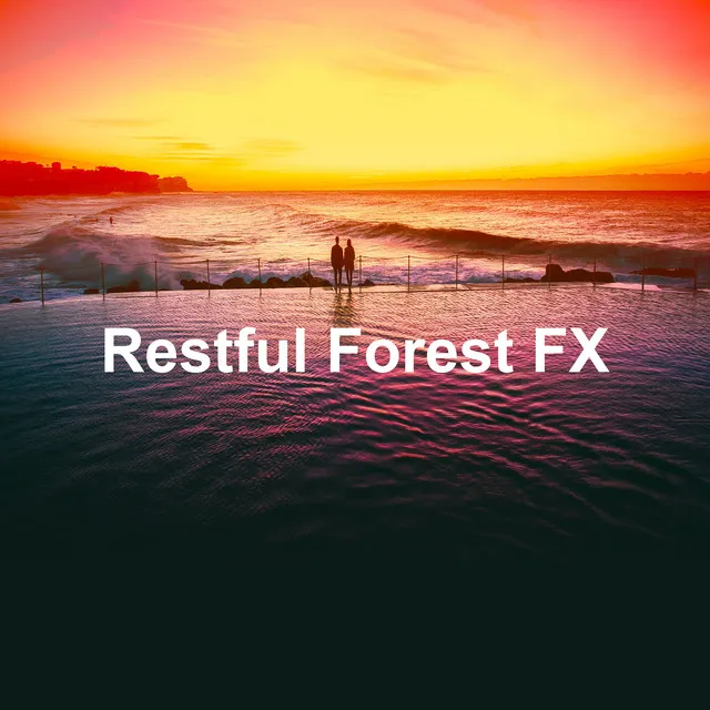 Restful Forest FX