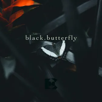 black.butterfly by Dont'e Carr