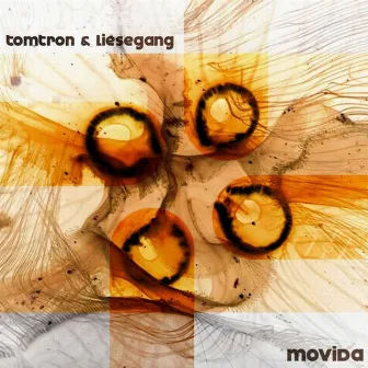 Movida by Tomtron