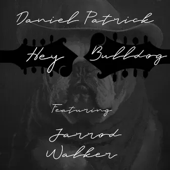 Hey Bulldog by Daniel Patrick