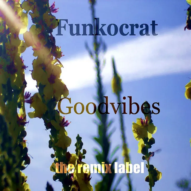 Goodvibes (Progressive Breaks Mix)