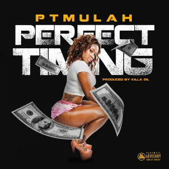 Perfect Timing by P.T. Mulah