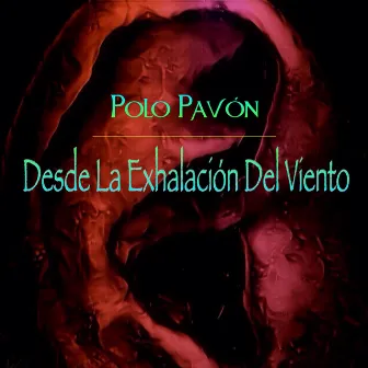 Desde La Exhalación Del Viento by Polo Pavón