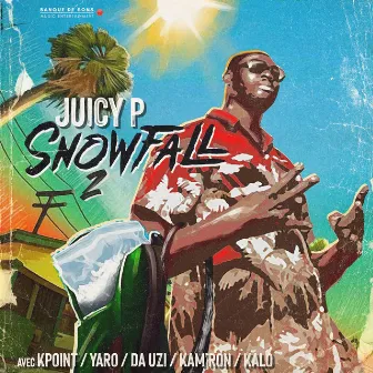 Snowfall #2 by Juicy P