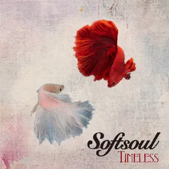 Timeless by Softsoul