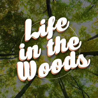 Life in the Woods by Bird Sounds