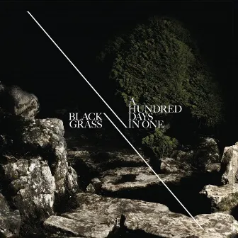 A Hundred Days in One by Black Grass