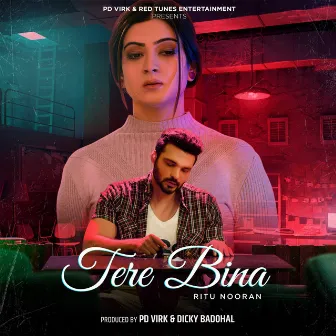 Tere Bina by Ritu Nooran