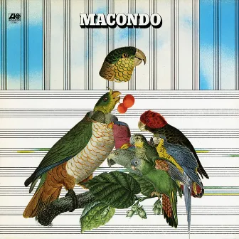 Macondo by Macondo