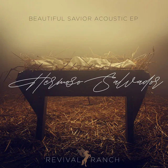 Beautiful Savior - Acoustic