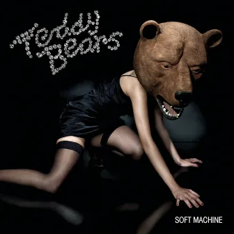 Soft Machine by Teddybears