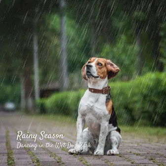 Rainy Season: Dancing in the Wet Dog Park by Cumulus Clouds