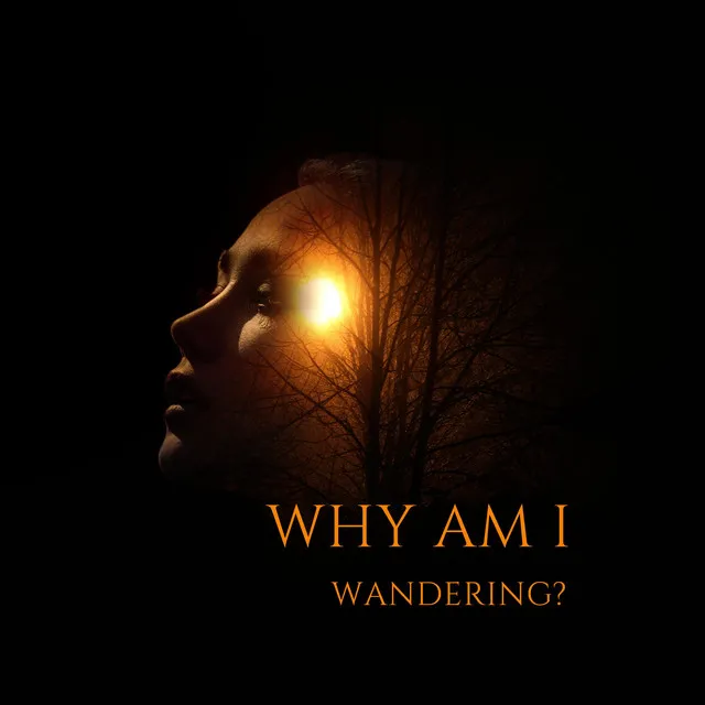 Why Am I Wandering?