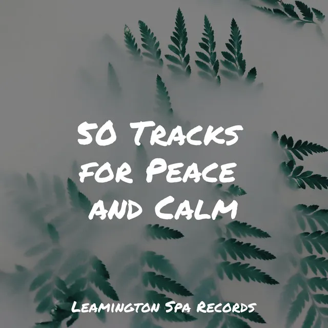 50 Tracks for Peace and Calm