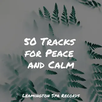 50 Tracks for Peace and Calm by Musica para Massagem Especialistas