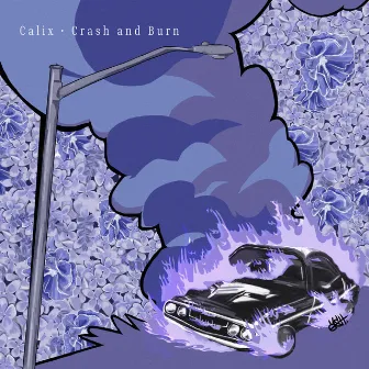 Crash and Burn by Calix