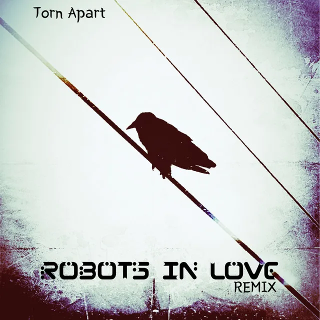 Torn Apart (Robots In Love remix)