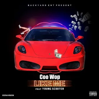 Like Me by Coo Wop