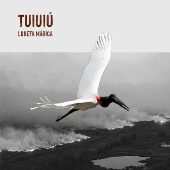 Tuiuiú by Luneta Mágica