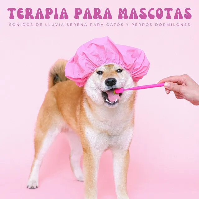 Música Relajante Para Mascotas