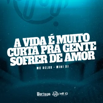 A VIDA É MUITO CURTA PRA GENTE SOFRER DE AMOR by Mini DJ