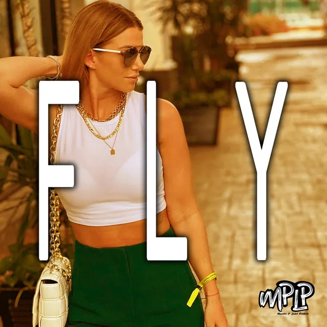 Fly - Instrumental Version