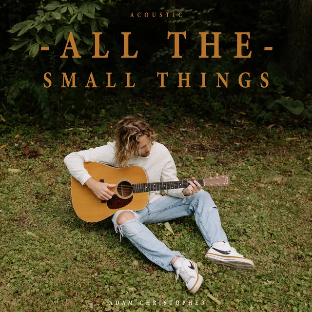 All the Small Things (Acoustic)