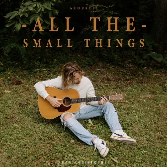 All the Small Things (Acoustic) by Adam Christopher