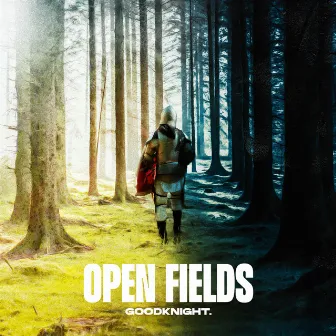 Open Fields by Goodknight.