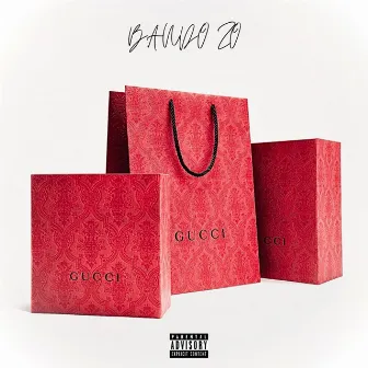 Gucci Bag by Bando Zo