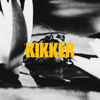 Kikker by Vaces