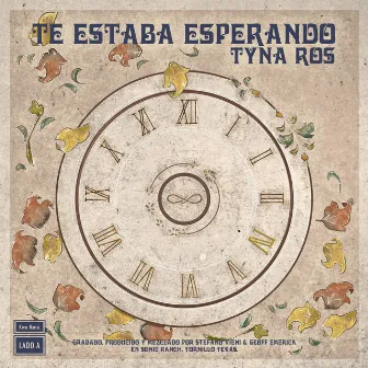 Te Estaba Esperando by Tyna Ros