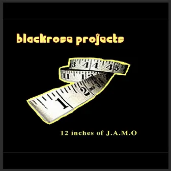 12 inches of J.A.M.O by PRINCE JAMO