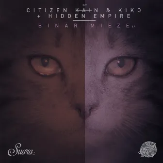 Binär Mieze EP by Kiko