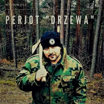 Drzewa (prod. FLAME) by Perjot