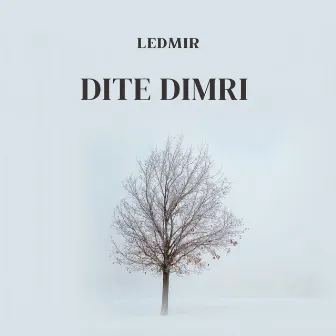 Dite dimri by Ledmir