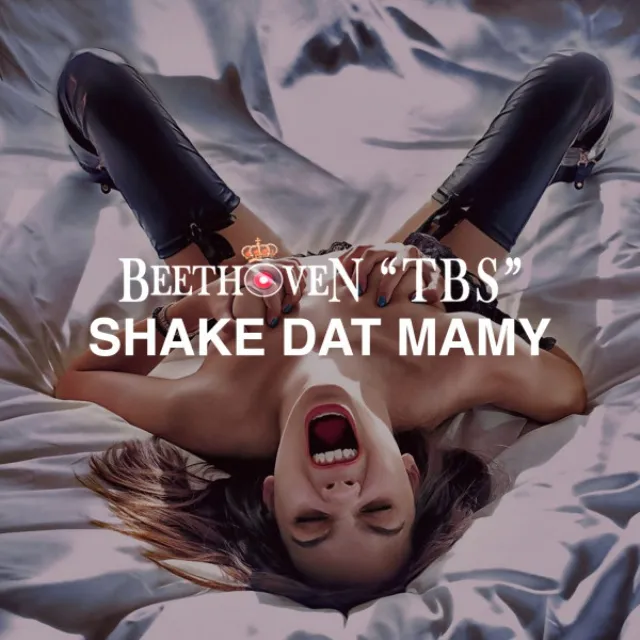 Shake Dat Mamy - Radio Shake Cut