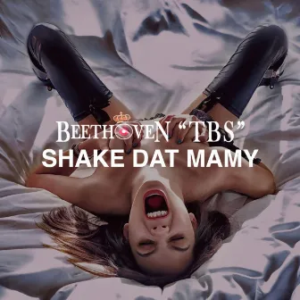 Shake Dat Mamy by Beethoven TBS