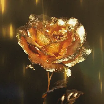 Gold Rose by ESSH