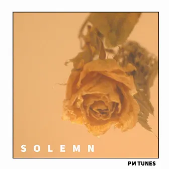 Solemn by PM tunes