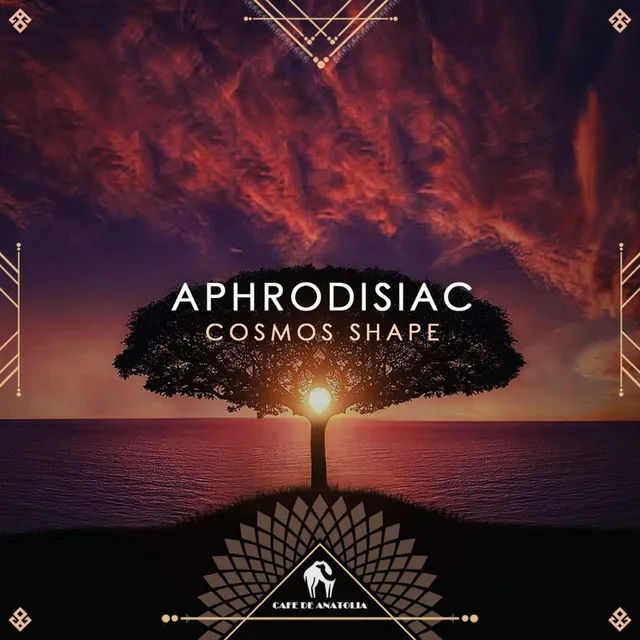 Aphrodisiac - Acoustic Version