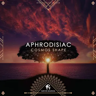 Aphrodisiac by Cosmos Shape