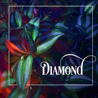 Diamond by Patrick Luwak