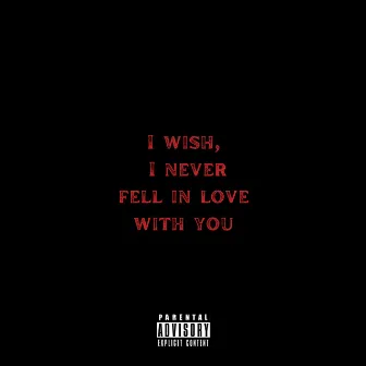 I wish, i never fell in love with you by Rich E Rich