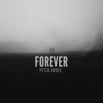 Forever by Peter Awdee