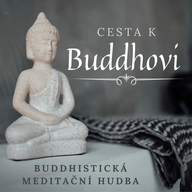 Meditativní Zkušenost